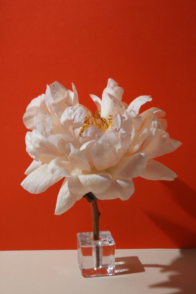 Harmony Artificial Peony Arrangement